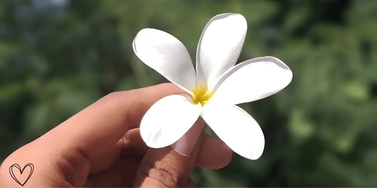 paras intiimialueen pesuaine